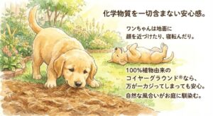 庭で遊ぶ2匹のゴールデンレトリバーの子犬。1匹は地面に鼻を近づけ、もう1匹は仰向けで寝転がっている。